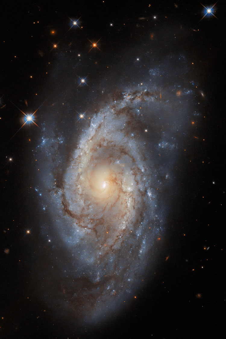HST image of spiral galaxy NGC 3318