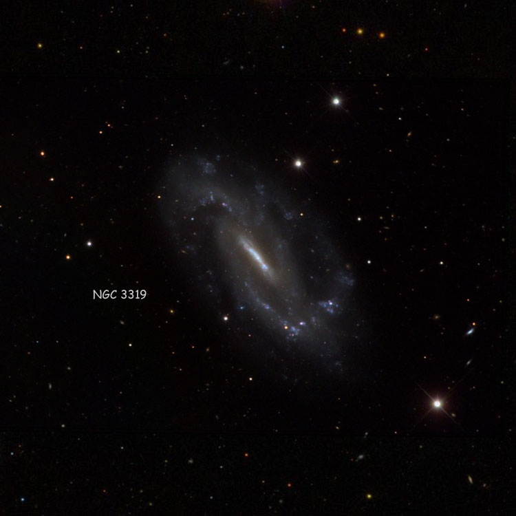 NOAO image of region near spiral galaxy NGC 3319, overlaid on a SDSS background to fill in missing areas