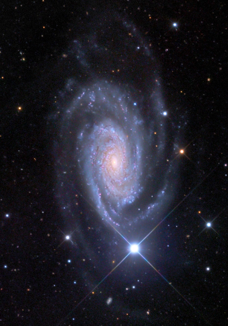 Mount Lemmon SkyCenter image of spiral galaxy NGC 3338