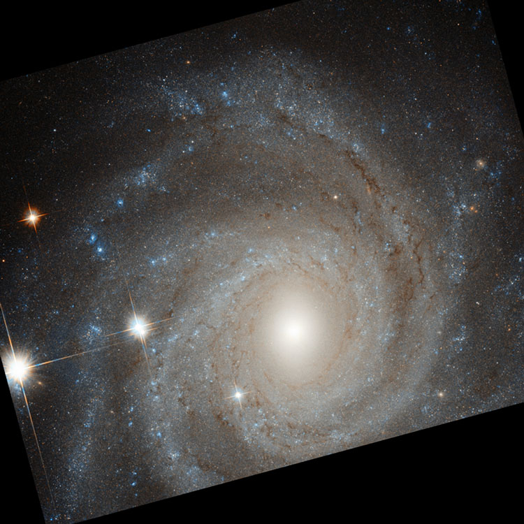 HST image of part of spiral galaxy NGC 3344