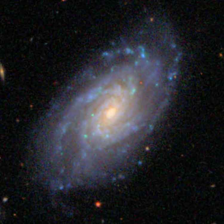 SDSS image of spiral galaxy NGC 3370