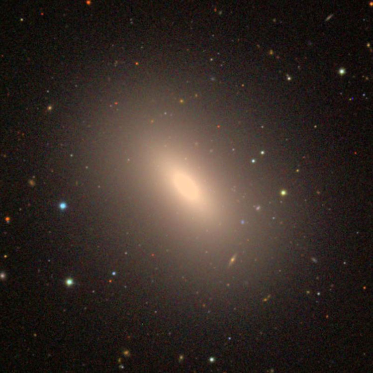 SDSS image of elliptical galaxy NGC 3377