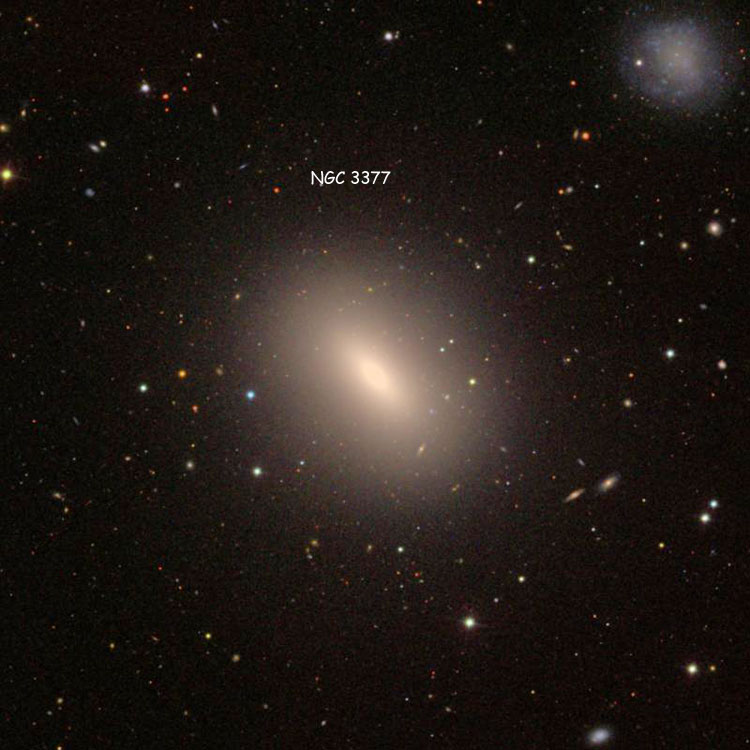 SDSS image of region near elliptical galaxy NGC 3377, also showing PGC 32226, sometimes called NGC 3377A