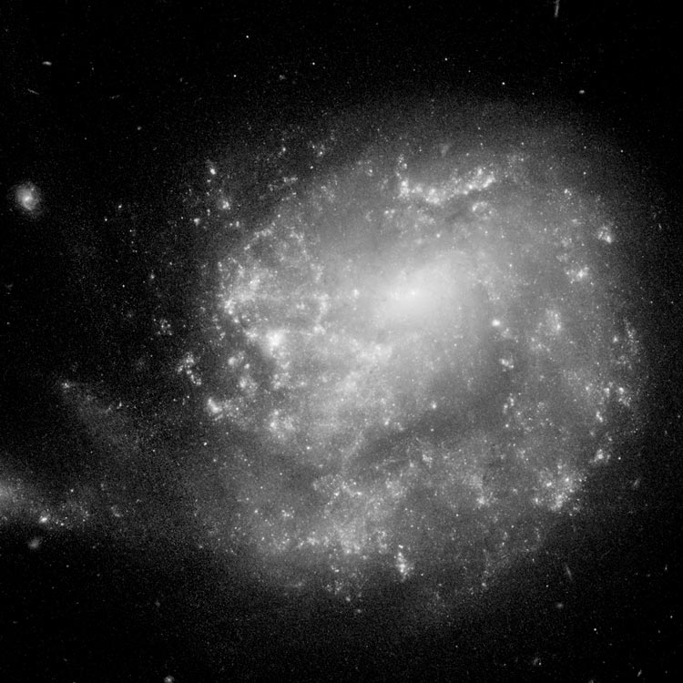 HST image of spiral galaxy NGC 3445, which is Arp 24