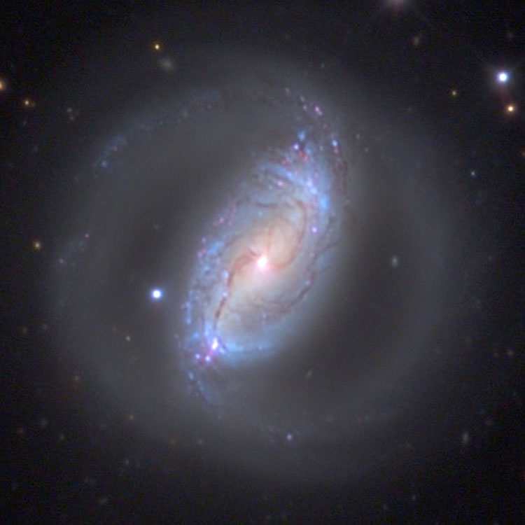 Mount Lemmon SkyCenter image of spiral galaxy NGC 3504
