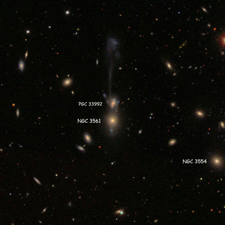 SDSS image of region near lenticular galaxy NGC 3561 and spiral galaxy PGC 33992, which comprise Arp 105; also shown is elliptical galaxy NGC 3554