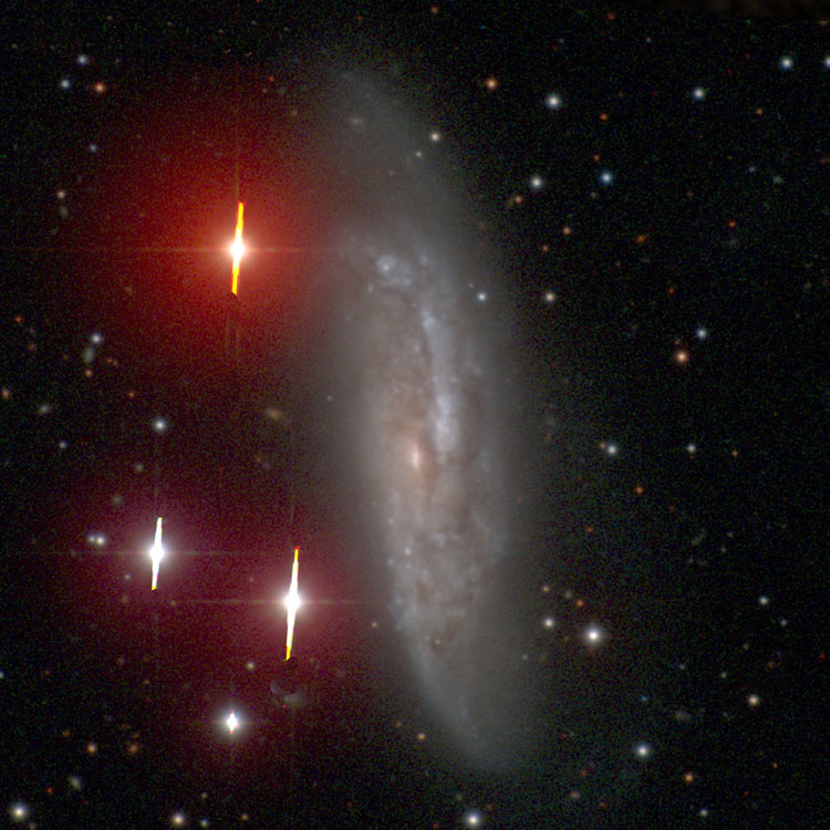 Carnegie-Irine Galaxy Survey image of spiral galaxy NGC 3568