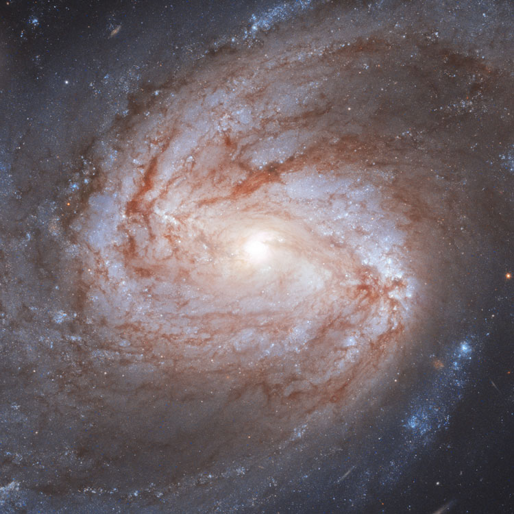 HST image of the core of spiral galaxy NGC 3583