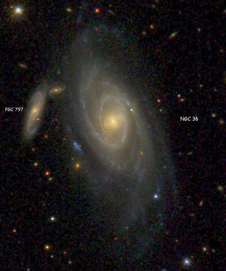 SDSS image of spiral galaxy NGC 36 and its apparent but not physical companion, PGC 797