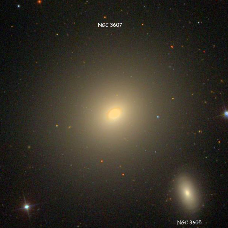 SDSS image of lenticular galaxy NGC 3607