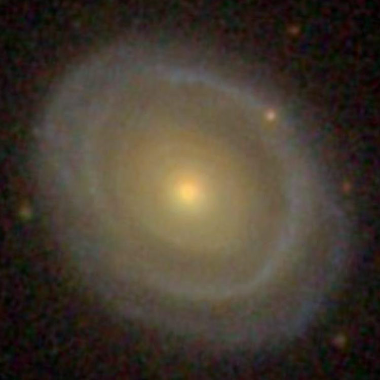 SDSS image of spiral galaxy NGC 3609