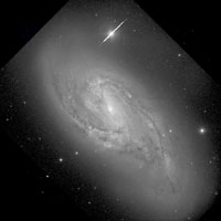 de Vaucouleurs Atlas of Galaxies image of NGC 3627