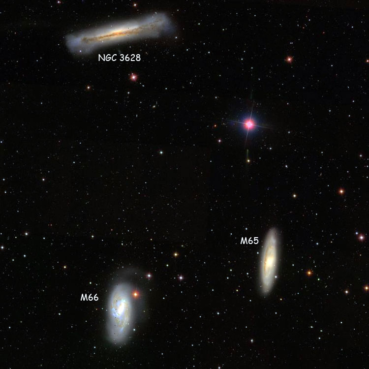 SDSS image of Leo Triplet