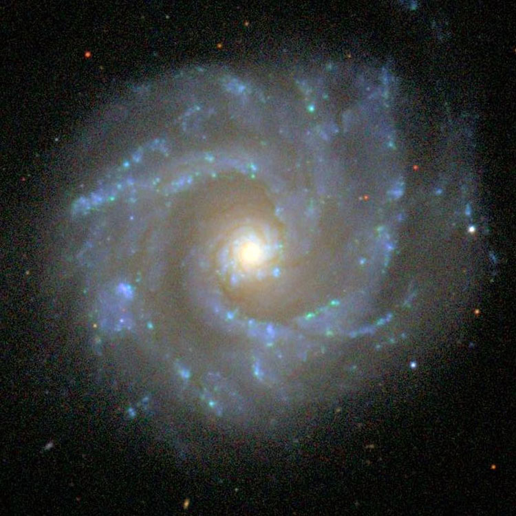 SDSS image of NGC 3631