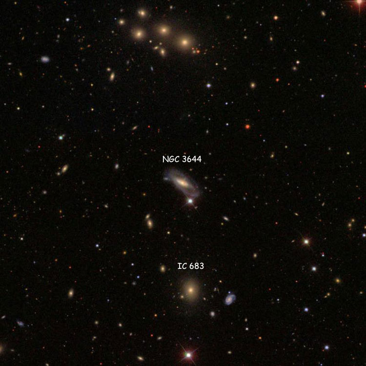 SDSS image of region near spiral galaxy NGC 3644, also showing elliptical galaxy IC 683
