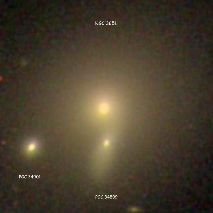 SDSS image of elliptical galaxy NGC 3651, also showing PGC 34899 and PGC 34901