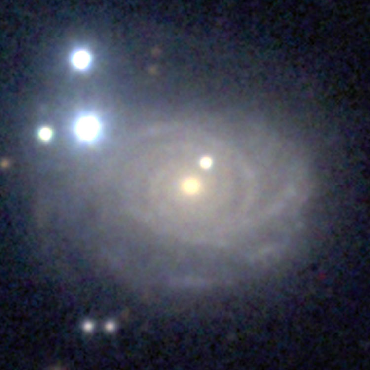 SAO Arizona image of spiral galaxy NGC 3663