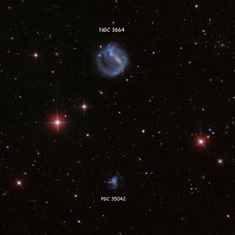 SDSS image of region near spiral galaxy NGC 3664 and its probable companion, PGC 35042, which is also known as NGC 3664A
