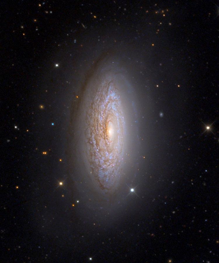 Mount Lemmon SkyCenter image of spiral galaxy NGC 3675