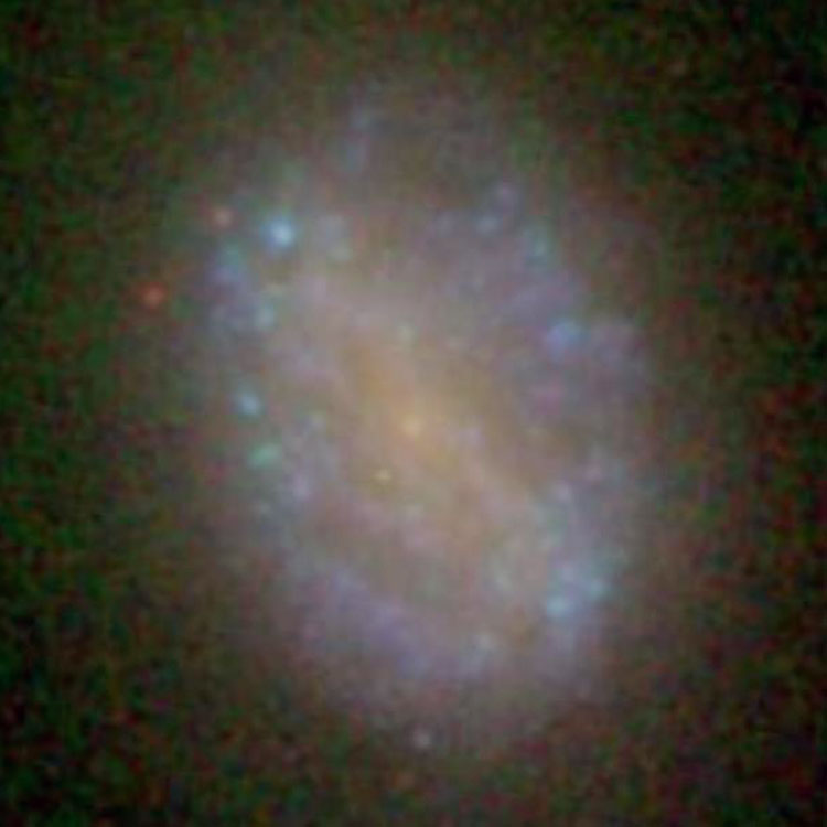 SDSS image of spiral galaxy NGC 3691
