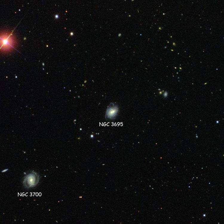 SDSS image of region near NGC 3695, also showing NGC 3700