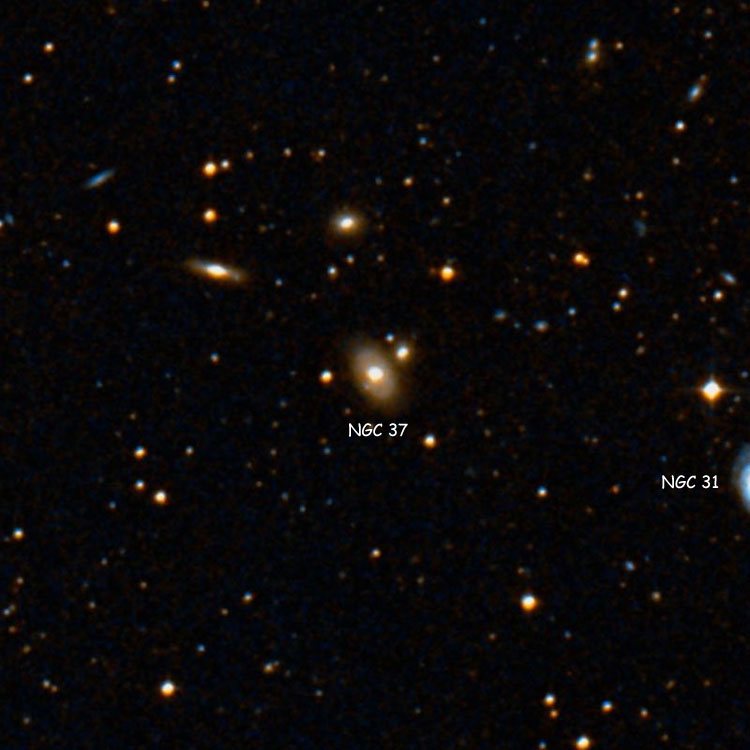 DSS image of region near lenticular galaxy NGC 37, also showing NGC 31
