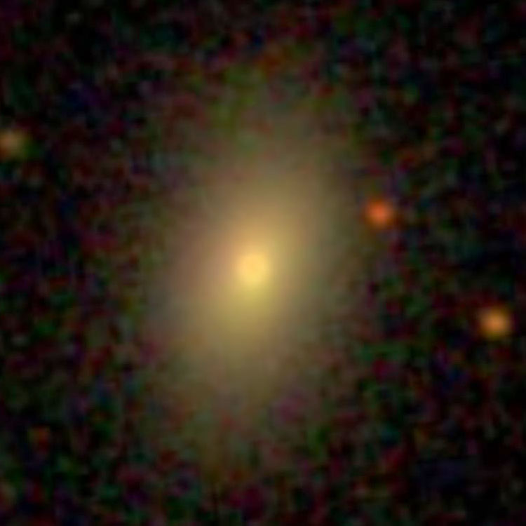 SDSS image of elliptical galaxy NGC 388