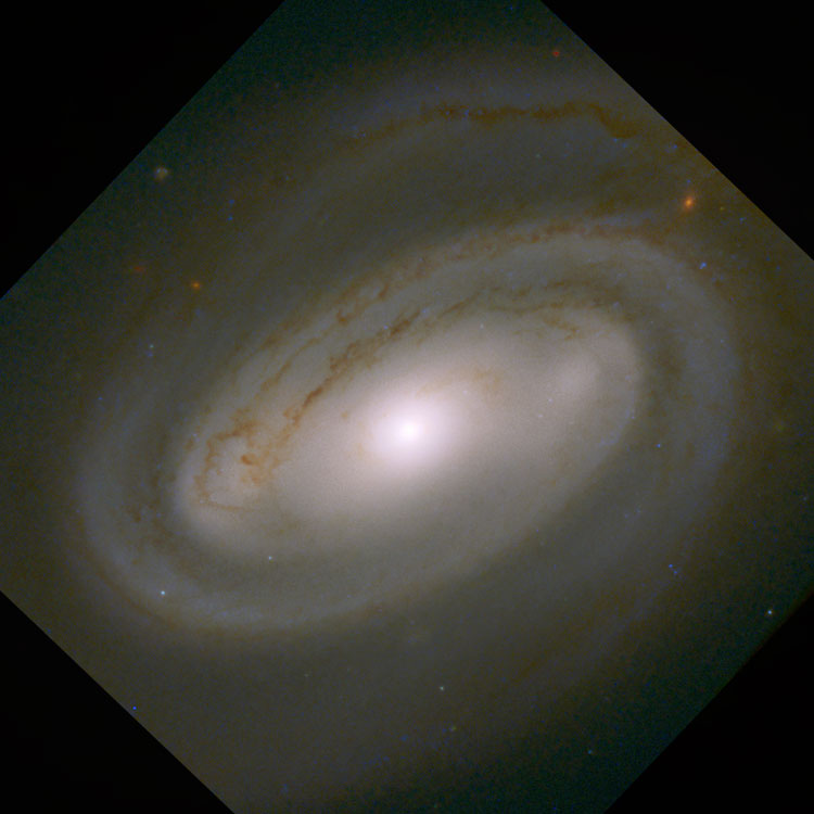 HST image of spiral galaxy NGC 3895