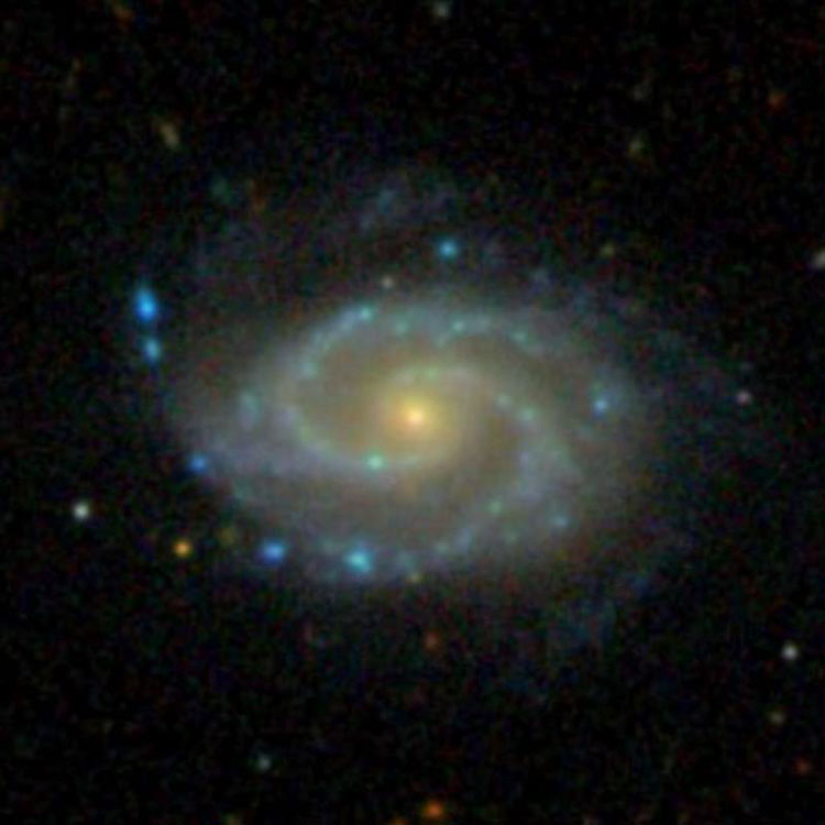 SDSS image of spiral galaxy NGC 3902