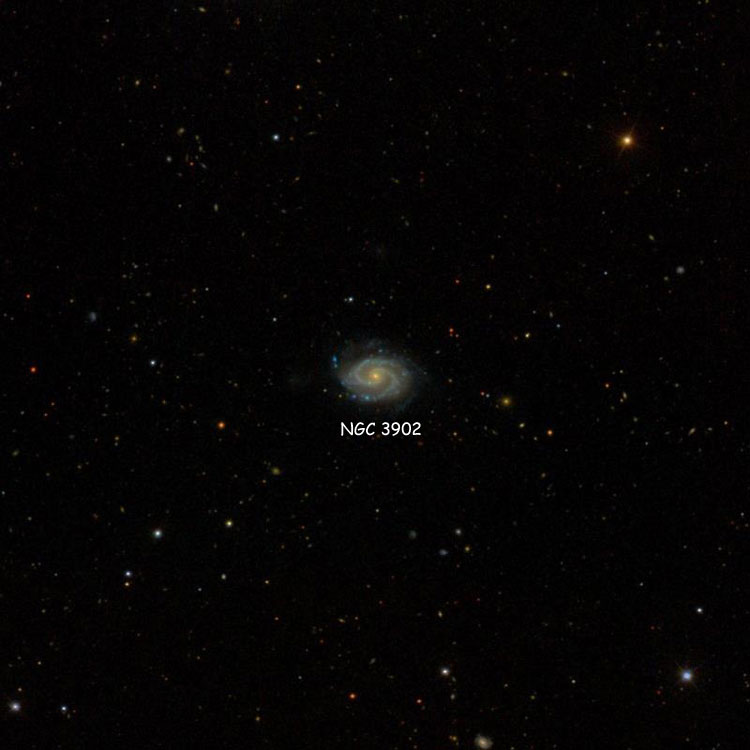 SDSS image of region near spiral galaxy NGC 3902