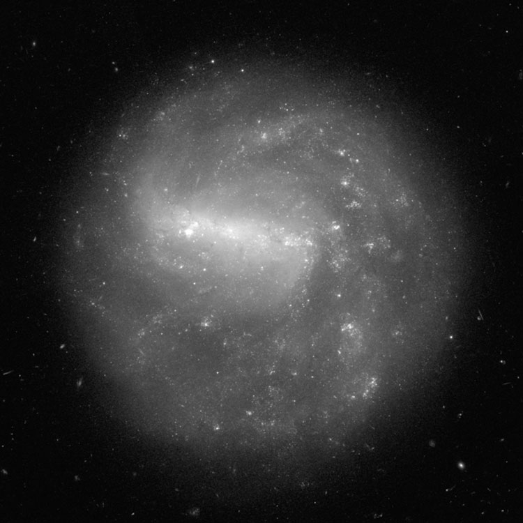 HST image of spiral galaxy NGC 3906