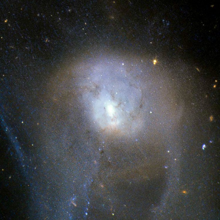 HST image of the central part of the interacting pair of galaxies listed as NGC 3921, and also known as Arp 224