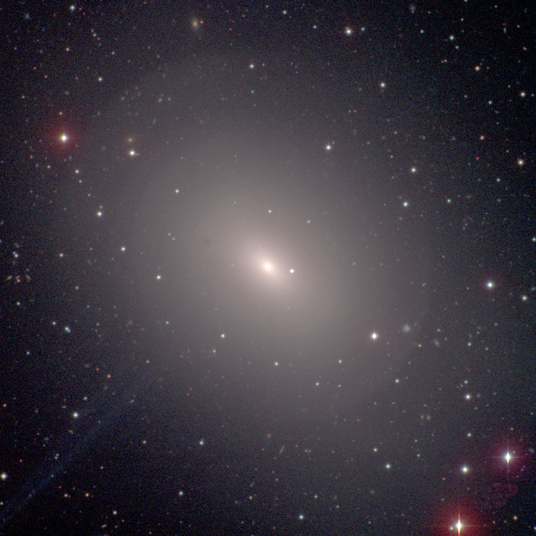 Carnegie-Irvine Galaxy Survey image of elliptical galaxy NGC 3923