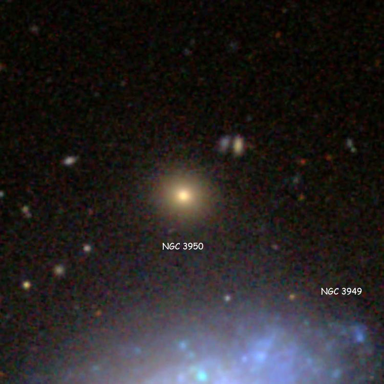 SDSS image of NGC 3950
