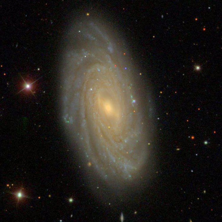 SDSS image of spiral galaxy NGC 3953