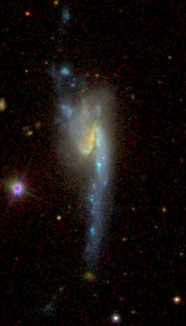 SDSS image of peculiar spiral galaxy NGC 4004