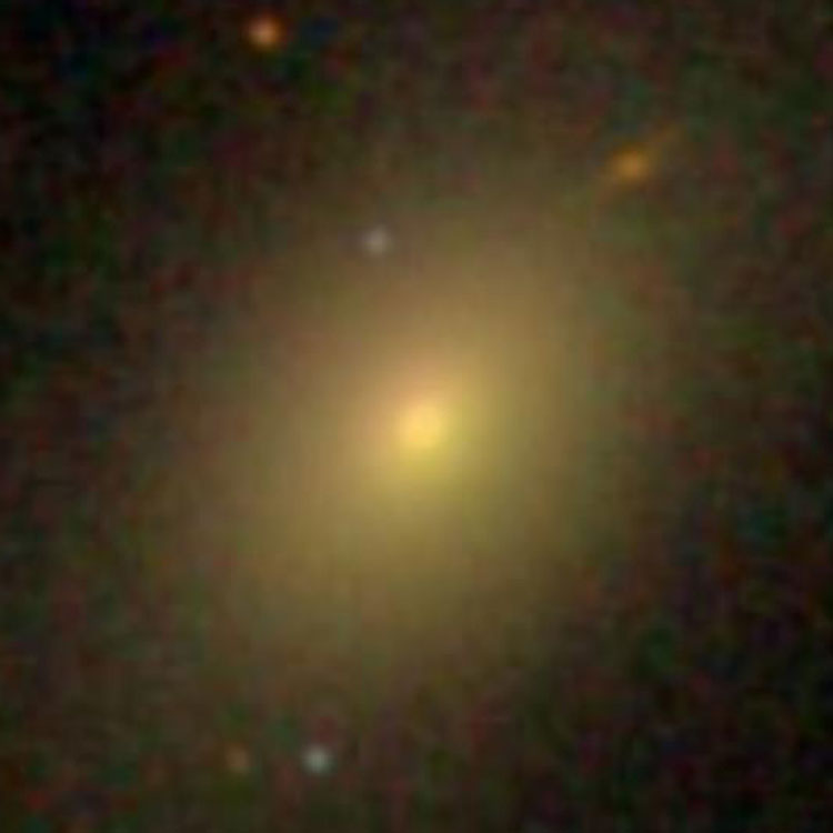 SDSS image of elliptical galaxy NGC 4040