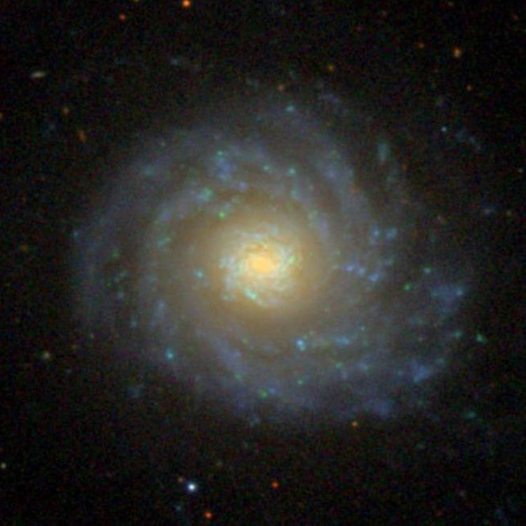 SDSS image of spiral galaxy NGC 4041