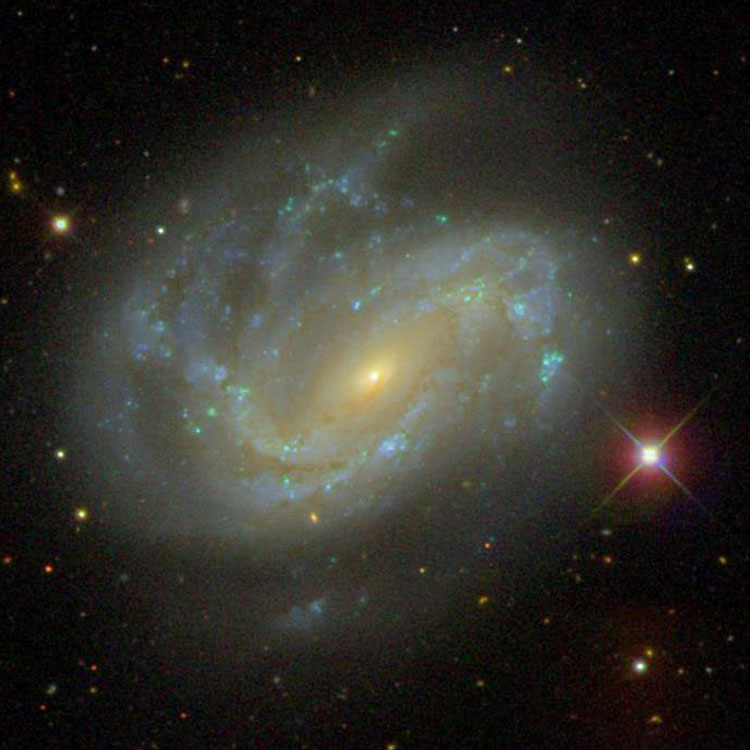 SDSS image of spiral galaxy NGC 4051
