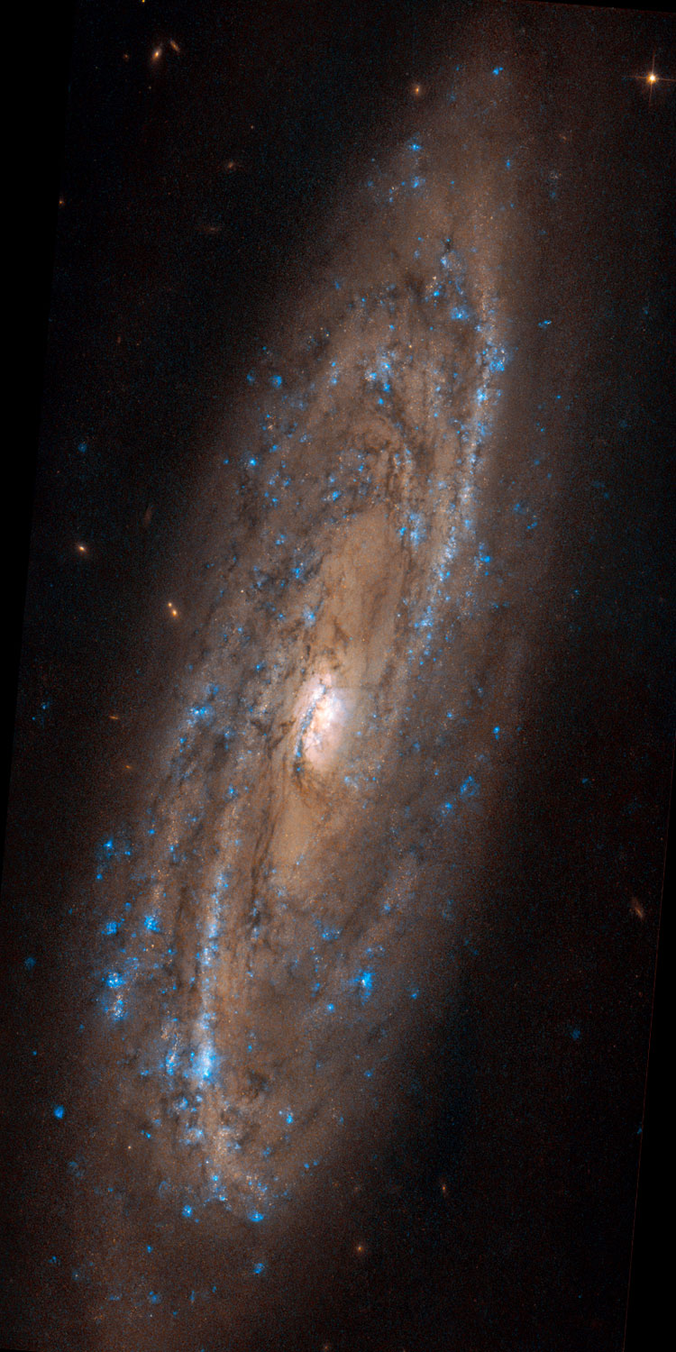 HST image of central portion of spiral galaxy NGC 4100