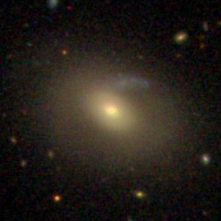 SDSS image of lenticular galaxy NGC 4101