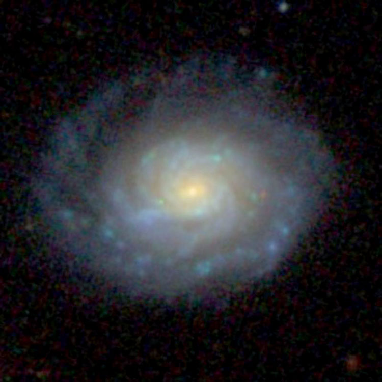 SDSS image of spiral galaxy NGC 4108