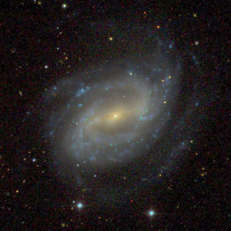 SDSS image of spiral galaxy NGC 4123