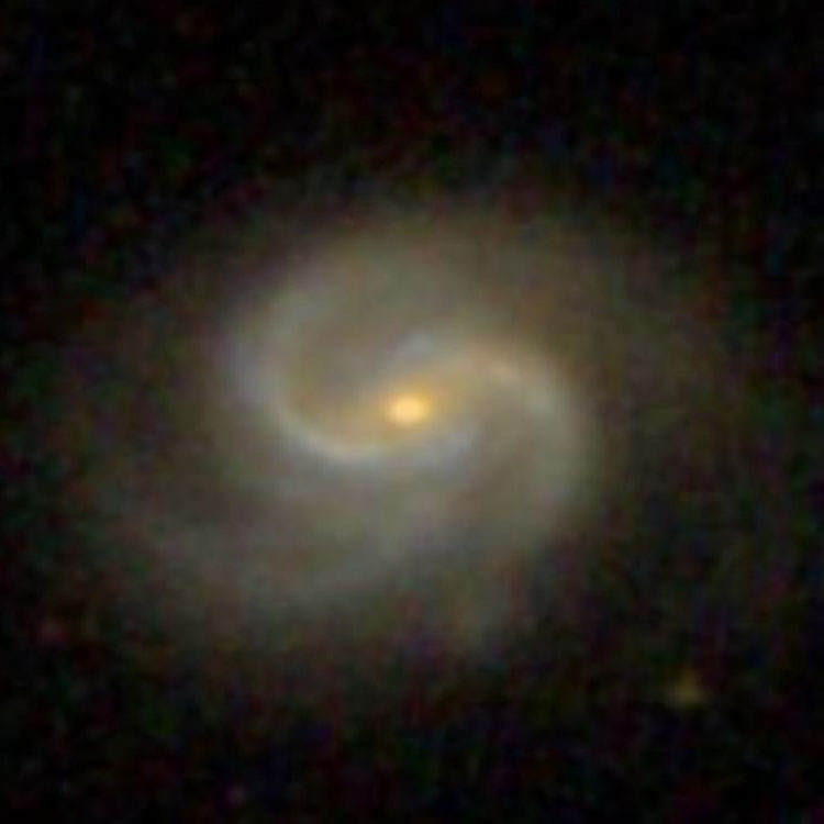 SDSS image of spiral galaxy NGC 4135