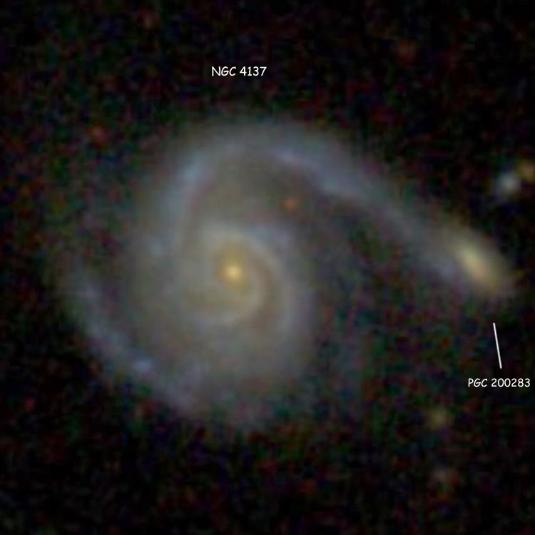 SDSS image of spiral galaxy NGC 4137 and its probable companion, PGC 200283