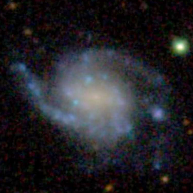 SDSS image of spiral galaxy NGC 4141