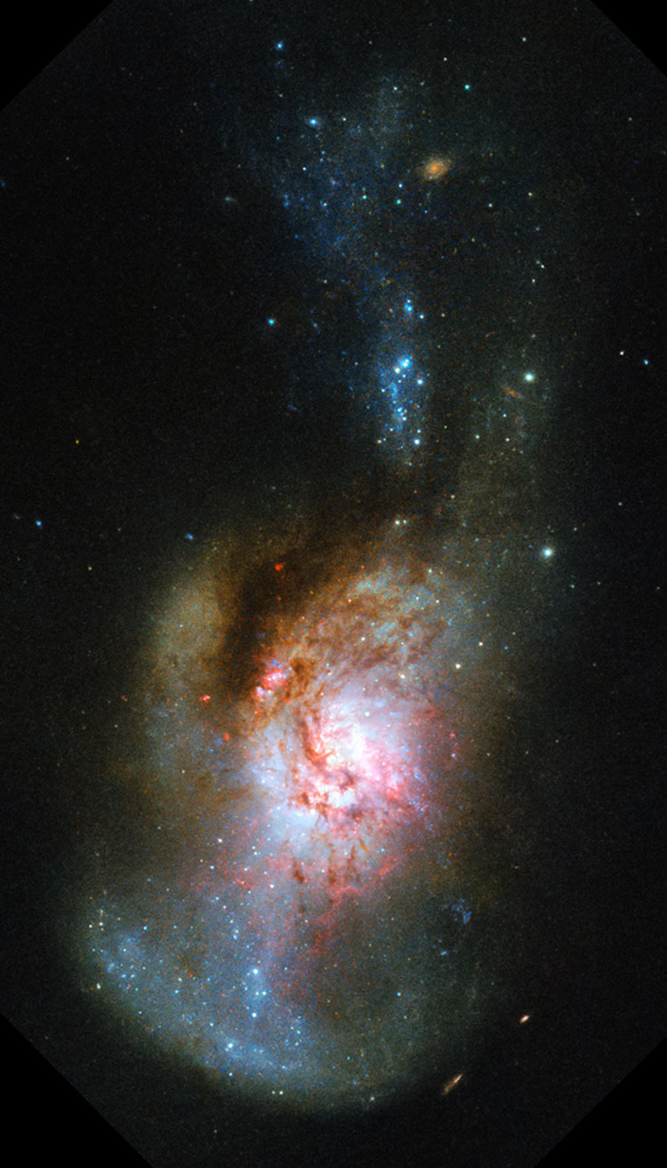 HST image of the peculiar spiral galaxy NGC 4194