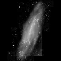 de Vaucouleurs Atlas of Galaxies image of NGC 4236