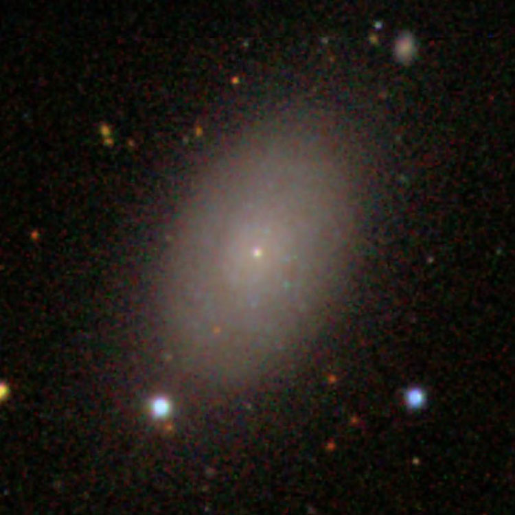 SDSS image of lenticular galaxy NGC 4286