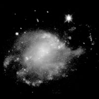 de Vaucouleurs Atlas of Galaxies image of NGC 428